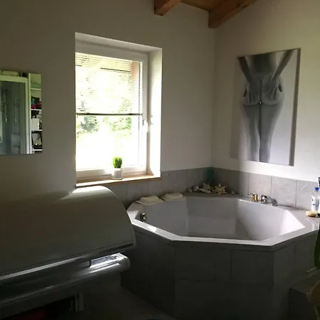 Affittacamere Charming Guest In Austria With Shared Facilities Ebbs